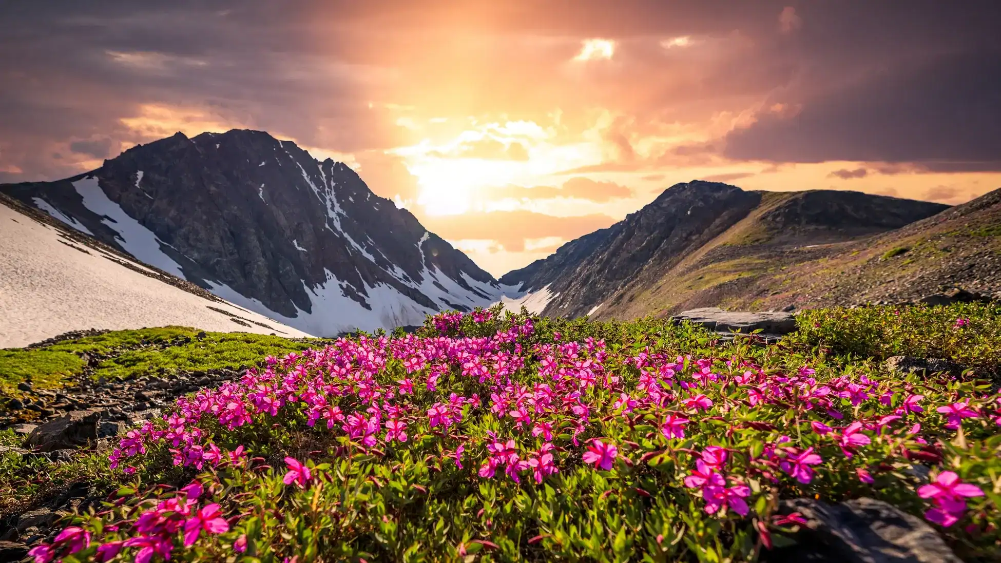 Valley of Flowers Trek